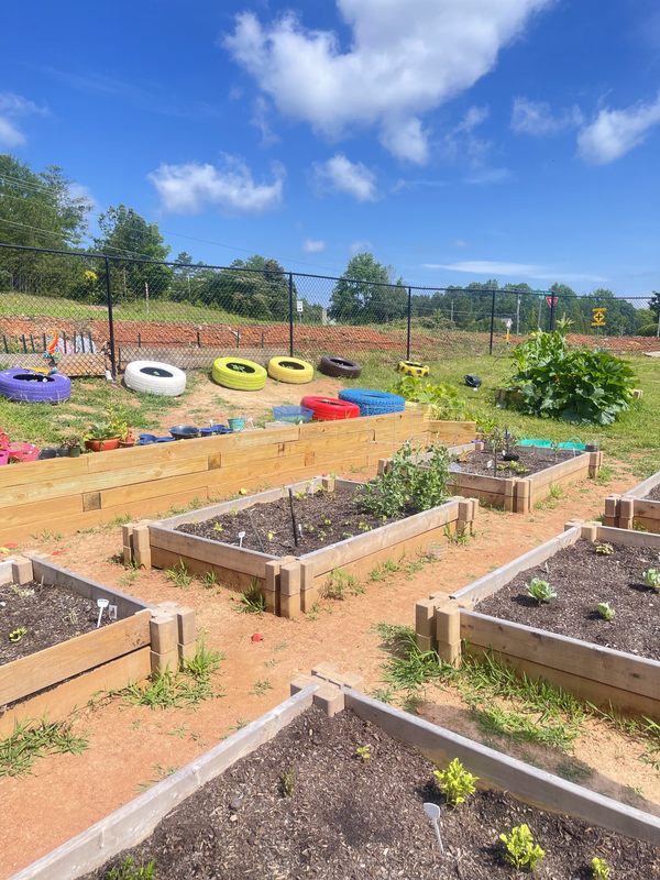 Students learning in the garden